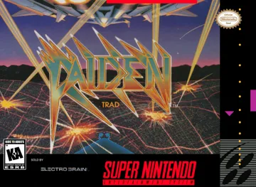 Raiden Trad (USA) box cover front